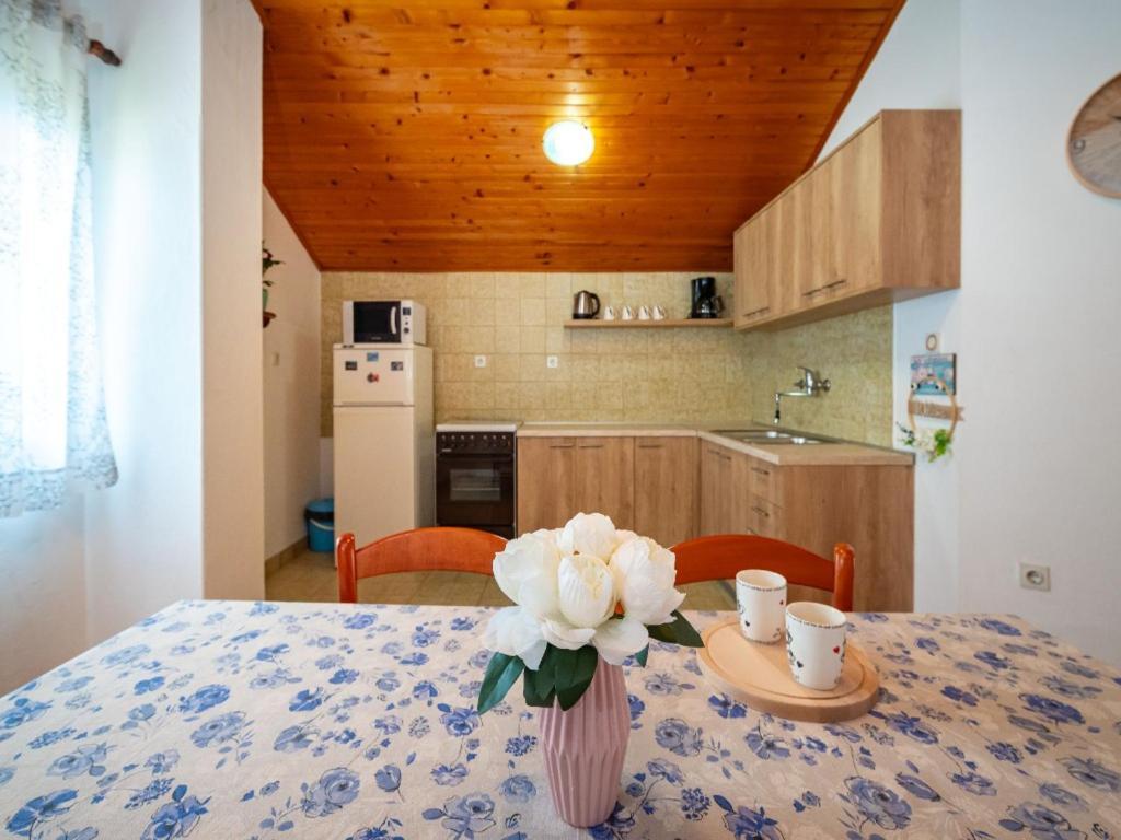 Apartment Matkos - With Garden And Terrace Nin Zewnętrze zdjęcie